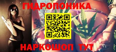 прущие крисы Будённовск