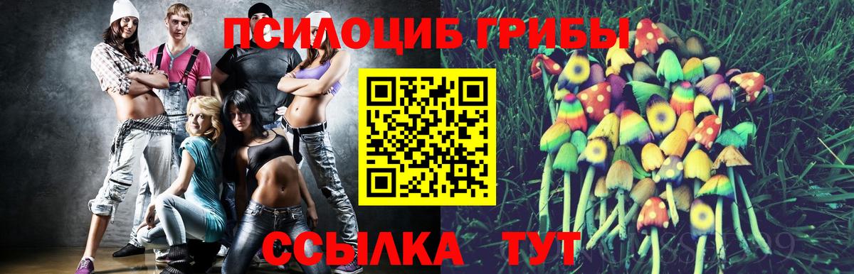 Псилоцибиновые грибы прущие грибы Чебаркуль