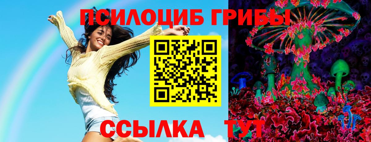 Чебаркуль  Псилоцибиновые грибы Magic Shrooms  Вход с VPN 